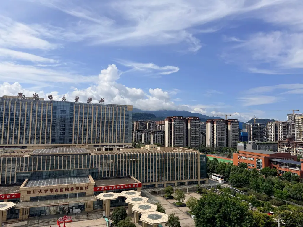 重庆汉派科技聚焦外籍中文课程：听说读写能力提升的教学实践分享